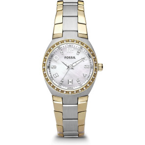 Uhrenarmband Fossil AM4183 Rostfreier Stahl Mehrfarbig 18mm